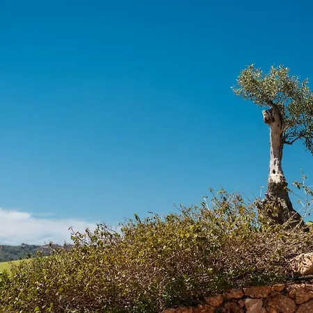 Holiday home Luxury Townhouse La Cala Golf *